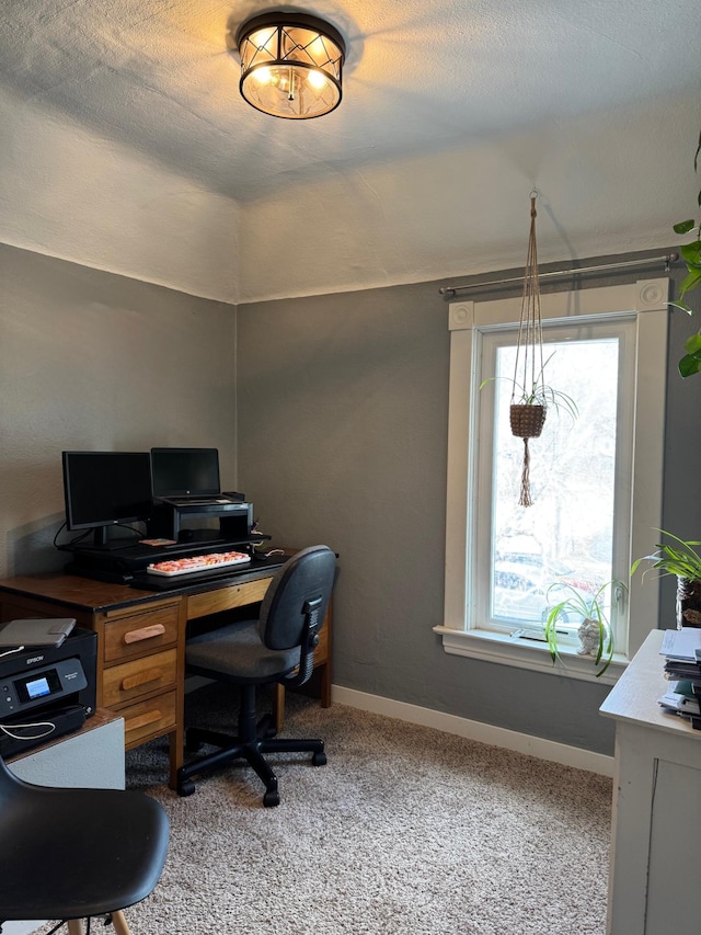 601 Maplewood Dr SE, Pelican Rapids, MN 56572 - home office with plenty of natural light, carpet floors, and baseboards