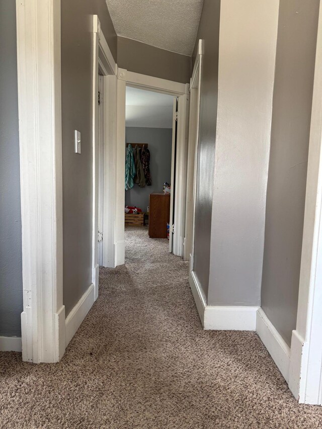601 Maplewood Dr SE, Pelican Rapids, MN 56572 - hallway with carpet floors and baseboards