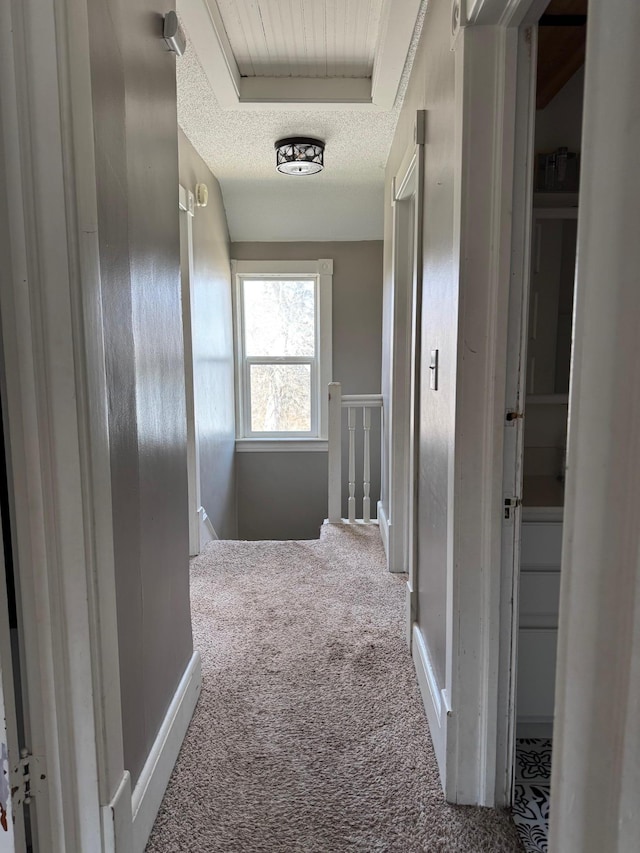 601 Maplewood Dr SE, Pelican Rapids, MN 56572 - hall featuring carpet, an upstairs landing, a textured ceiling, and baseboards