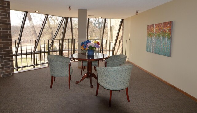dining area featuring expansive windows, baseboards, and carpet floors