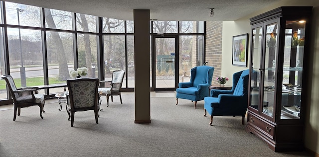 sunroom / solarium featuring a wall of windows, a wealth of natural light, and carpet flooring
