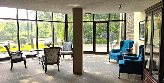 20 Windsor Ln Unit 209A, New Brighton, MN 55112 - sunroom with carpet flooring, expansive windows, and a textured ceiling