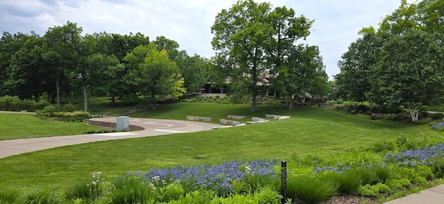 20 Windsor Ln Unit 209A, New Brighton, MN 55112 - view of community with a yard and view of scattered trees