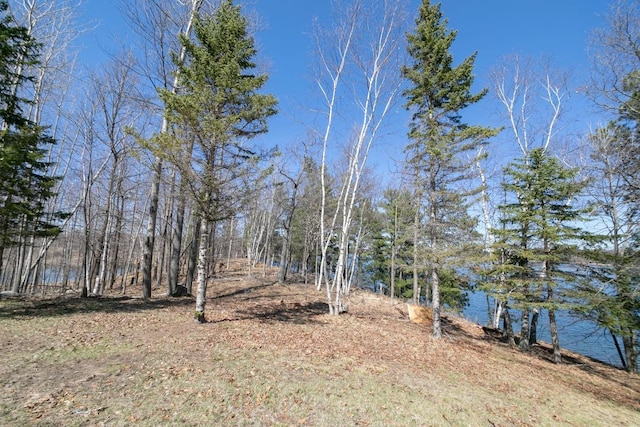 2746 Swift Ln NW, Hackensack, MN 56452 - view of yard