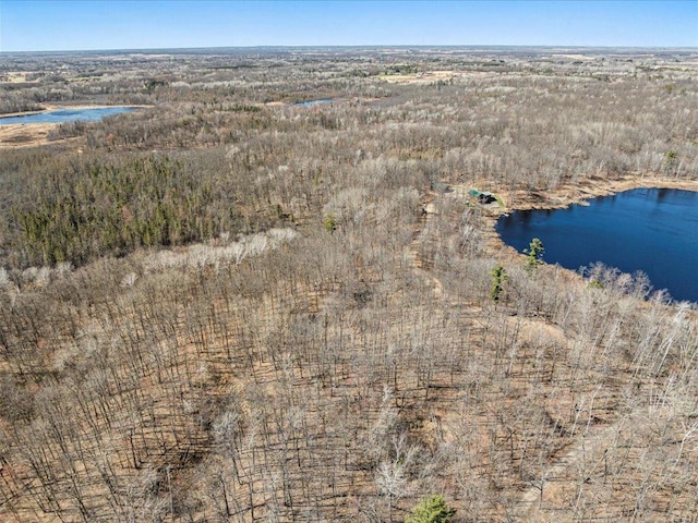 bird's eye view featuring a water view and a wooded view