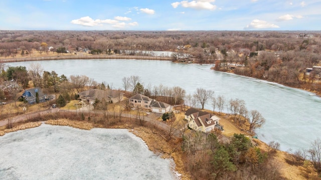 5320 132nd St W, Apple Valley, MN 55124 - aerial view featuring a wooded view and a water view