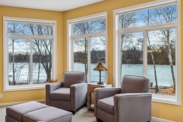 5320 132nd St W, Apple Valley, MN 55124 - sitting room featuring carpet flooring, a water view, and baseboards
