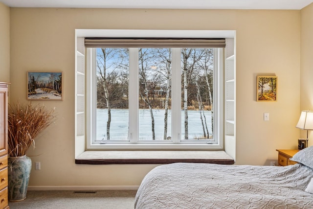 5320 132nd St W, Apple Valley, MN 55124 - bedroom featuring visible vents, carpet floors, and baseboards