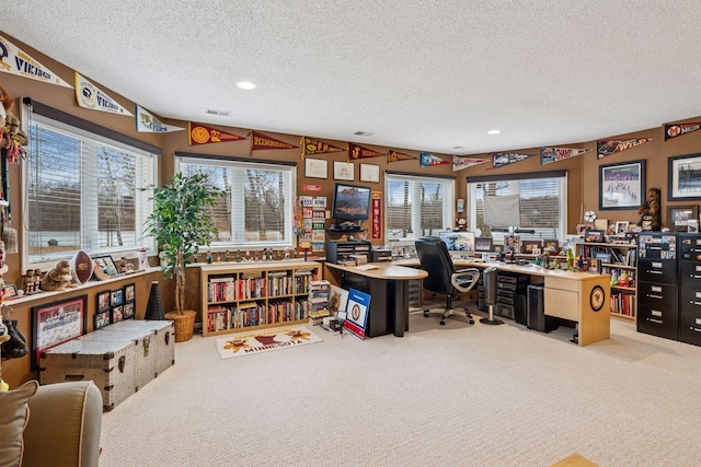 5320 132nd St W, Apple Valley, MN 55124 - home office featuring recessed lighting, a textured ceiling, and carpet flooring