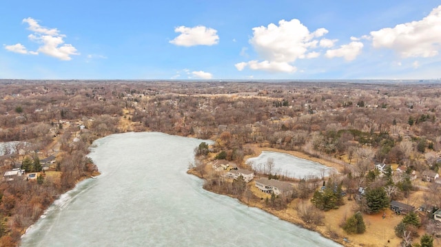 5320 132nd St W, Apple Valley, MN 55124 - birds eye view of property with a view of trees