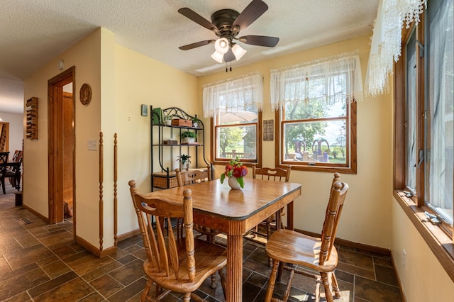 9570 340th Street Way, Cannon Falls, MN 55009 - photo 14