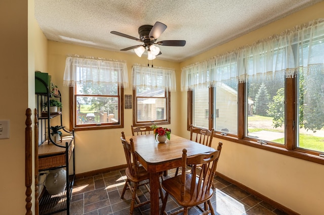 9570 340th Street Way, Cannon Falls, MN 55009 - photo 15