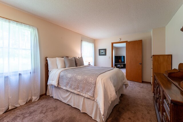 9570 340th Street Way, Cannon Falls, MN 55009 - photo 36