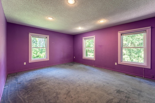 9570 340th Street Way, Cannon Falls, MN 55009 - photo 45
