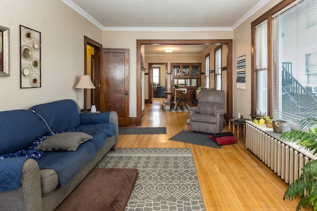 living area featuring radiator heating unit, wood finished floors, and ornamental molding