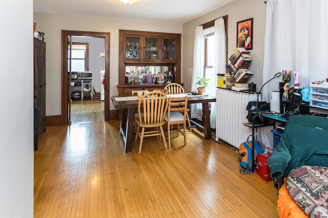 dining area with radiator and light wood-style flooring