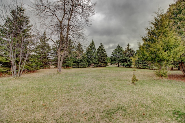 6775 State 87 SW, Backus, MN 56435 - view of yard