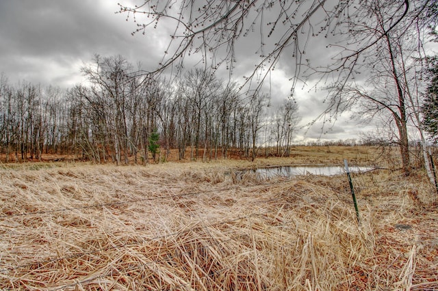 6775 State 87 SW, Backus, MN 56435 - view of nature