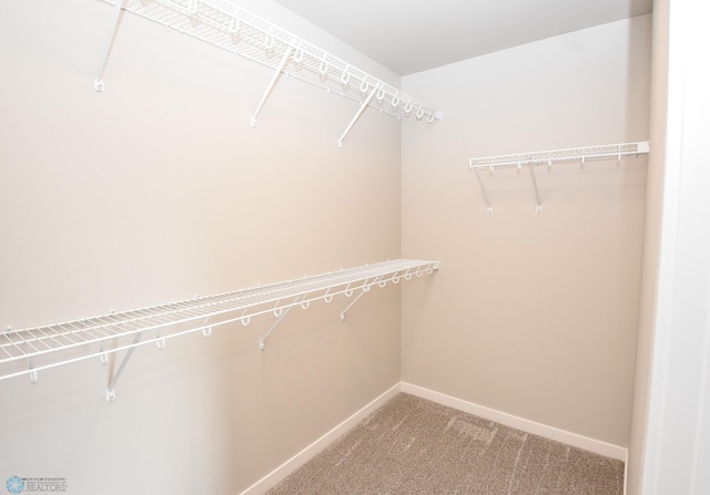 spacious closet featuring carpet