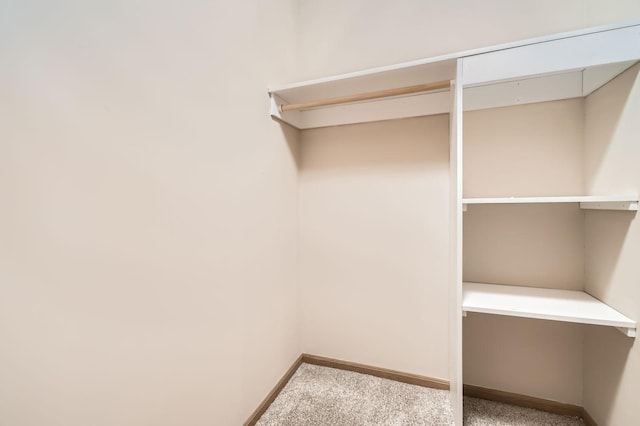 5650 Boone Ave N Unit 315, New Hope, MN 55428 - walk in closet featuring carpet floors