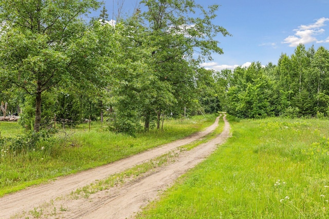 4235 277th Ave NW, Isanti, MN 55040 - view of dirt / gravel road with a view of trees