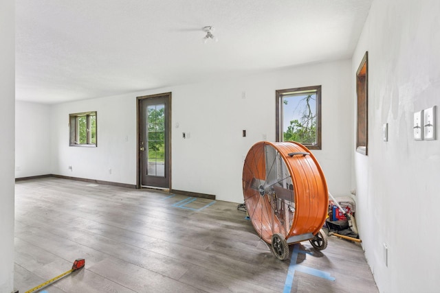 4235 277th Ave NW, Isanti, MN 55040 - foyer entrance featuring wood finished floors