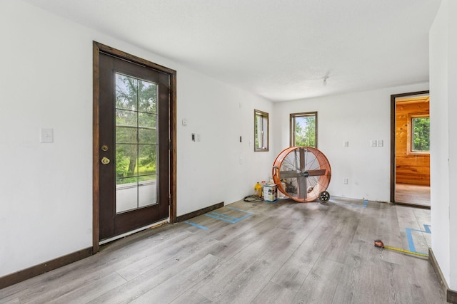 4235 277th Ave NW, Isanti, MN 55040 - entrance foyer with light wood-style flooring and plenty of natural light