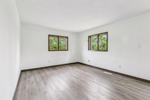 4235 277th Ave NW, Isanti, MN 55040 - spare room with plenty of natural light, wood finished floors, and a textured ceiling