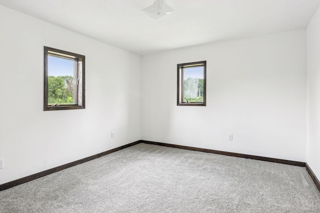 4235 277th Ave NW, Isanti, MN 55040 - empty room with carpet floors