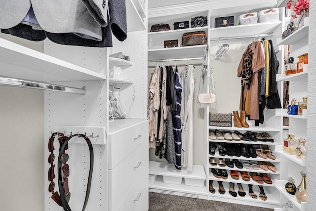 view of walk in closet