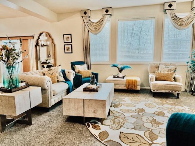 living area featuring carpet floors