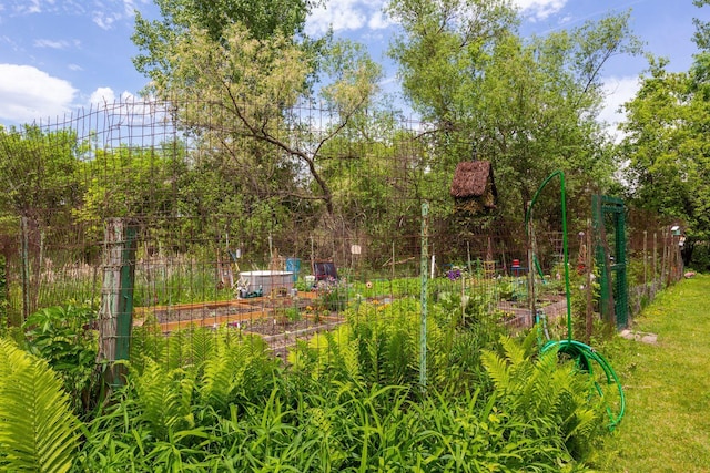 view of yard with a vegetable garden