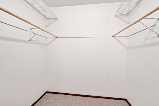 spacious closet with carpet