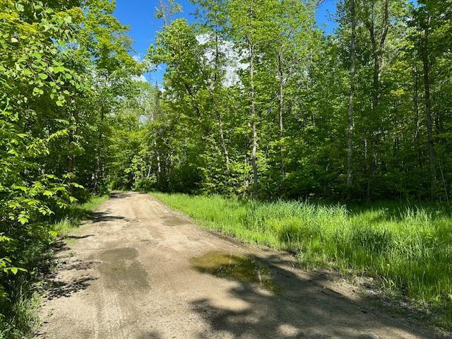 0000 Deervine Trl NE, Tenstrike, MN 56683