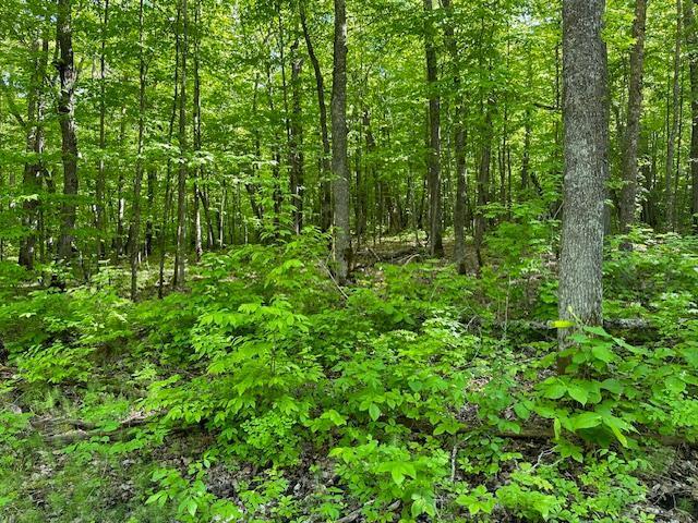 0000 Deervine Trl NE, Tenstrike, MN 56683