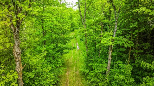 0000 Deervine Trl NE, Tenstrike, MN 56683
