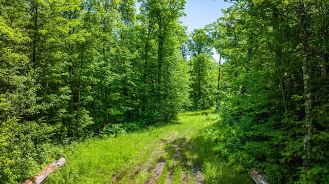 0000 Deervine Trl NE, Tenstrike, MN 56683