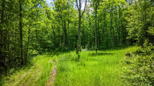 0000 Deervine Trl NE, Tenstrike, MN 56683