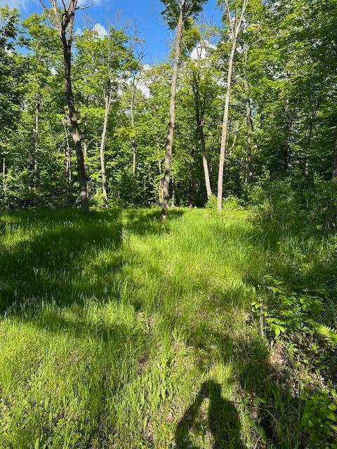0000 Deervine Trl NE, Tenstrike, MN 56683