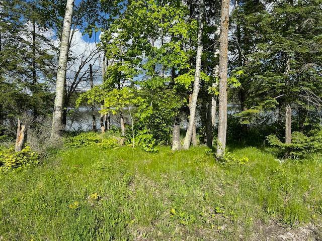 0000 Deervine Trl NE, Tenstrike, MN 56683