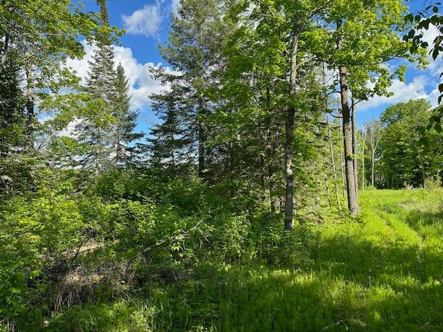 0000 Deervine Trl NE, Tenstrike, MN 56683