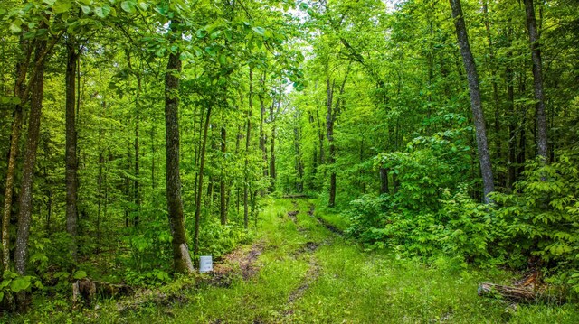 0000 Deervine Trl NE, Tenstrike, MN 56683