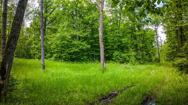 0000 Deervine Trl NE, Tenstrike, MN 56683