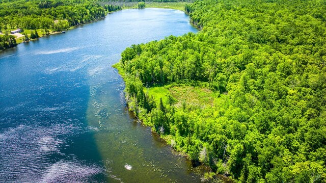 0000 Deervine Trl NE, Tenstrike, MN 56683