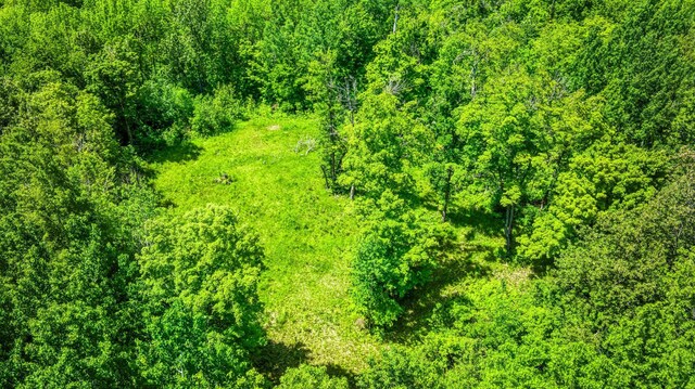 0000 Deervine Trl NE, Tenstrike, MN 56683