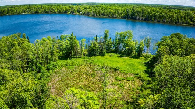 0000 Deervine Trl NE, Tenstrike, MN 56683