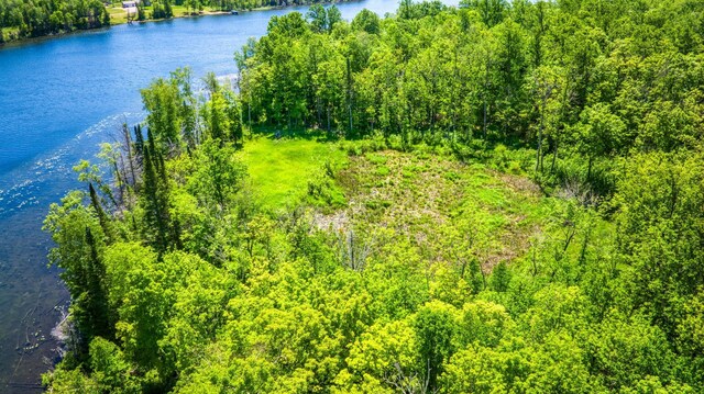 0000 Deervine Trl NE, Tenstrike, MN 56683