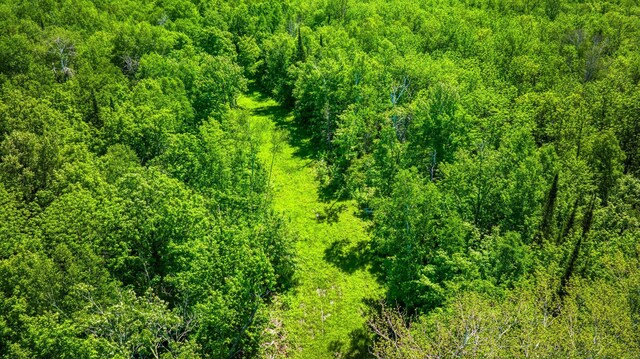 0000 Deervine Trl NE, Tenstrike, MN 56683