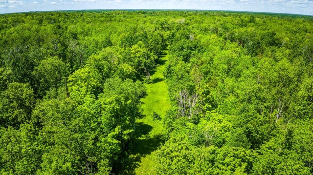 0000 Deervine Trl NE, Tenstrike, MN 56683