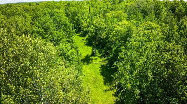 0000 Deervine Trl NE, Tenstrike, MN 56683